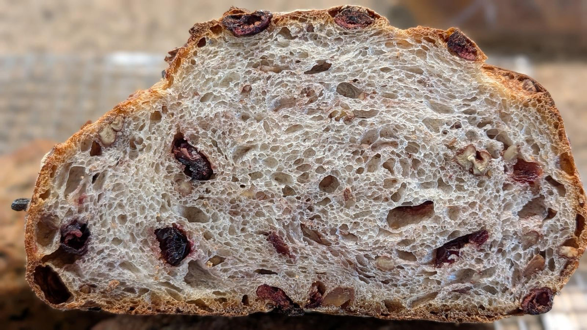 Cranberry Crunch Sourdough Loaf