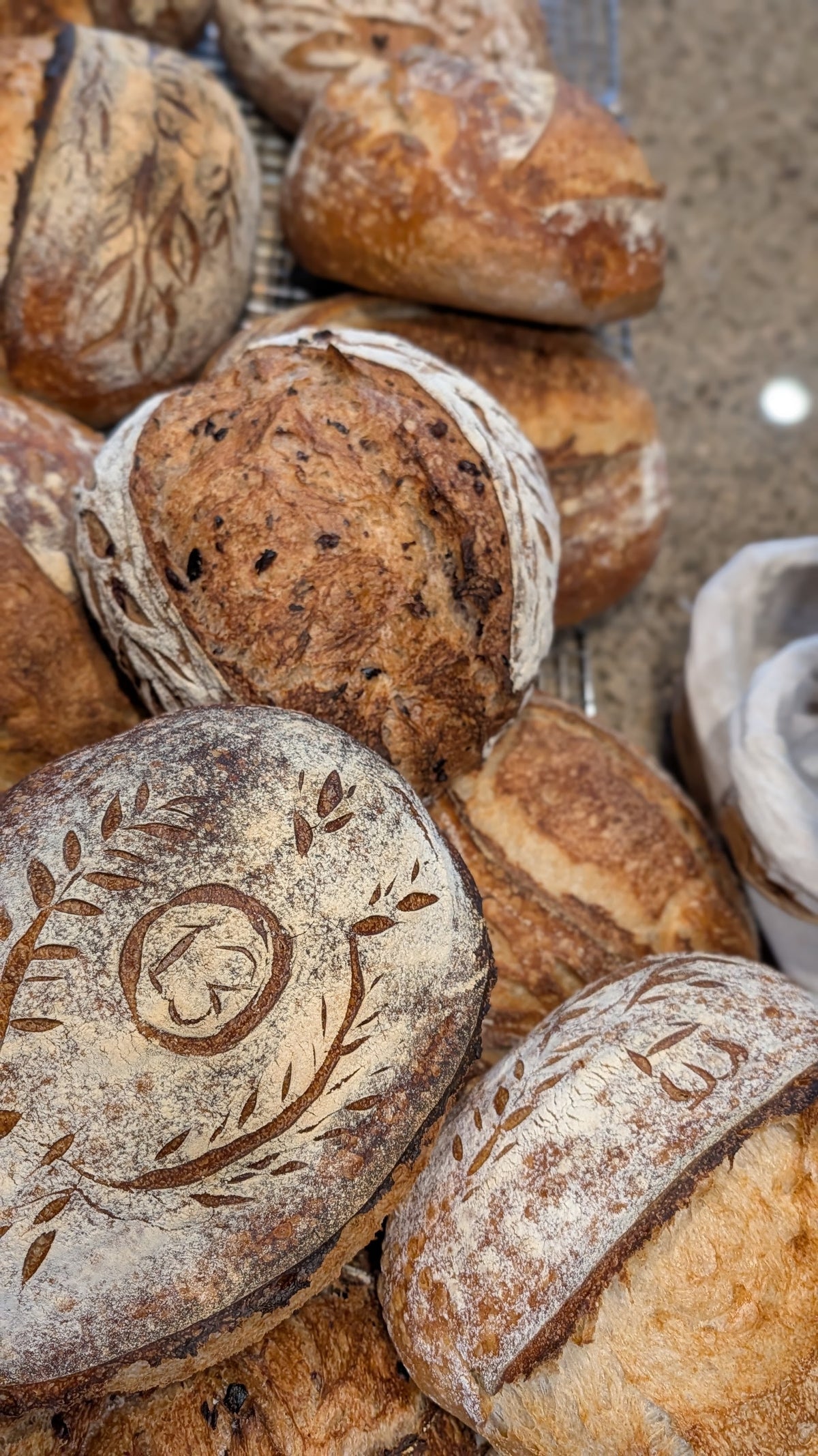Freshly baked sourdough loaves with decorative scoring on a cooling rack, 13 Sourdough home bakery in Falls Church, VA